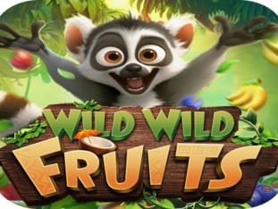 Wild Wild Fruits screenshot
